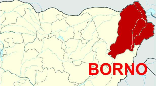 Borno Rrr Over 100 Terrorists, Family Members Surrender In Borno