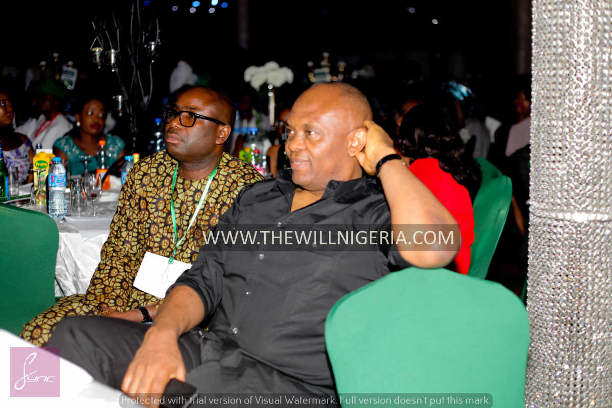 12. Tony Elumelu - THEWILL NEWS MEDIA