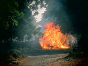 IMG-20160217-WA0031-300x225 - THEWILL NEWS MEDIA