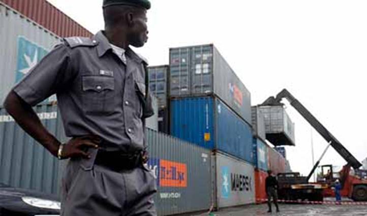 Customs Intercepts N432m Pangolin Scales In Bauchi - Vimarsana News