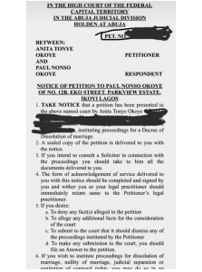 Anita Okoye divorce petition - THEWILL NEWS MEDIA Anita Okoye divorce petition