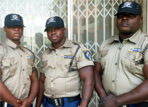 Private Security Service: Professionals who venture into this sector will help to boost capacity.