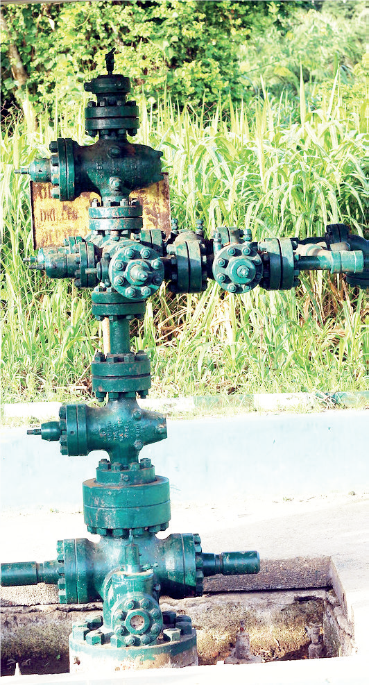 bayelsa state2 - THEWILL NEWS MEDIA