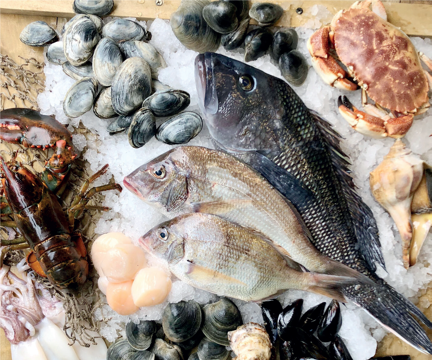 bayelsa - THEWILL NEWS MEDIA Sea food processing