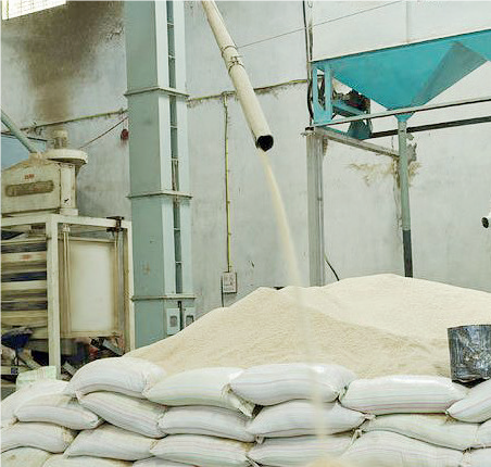 gombe 12 - THEWILL NEWS MEDIA Commercial Rice Production