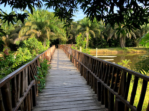 Lufasi Park - THEWILL NEWS MEDIA Lufasi Park