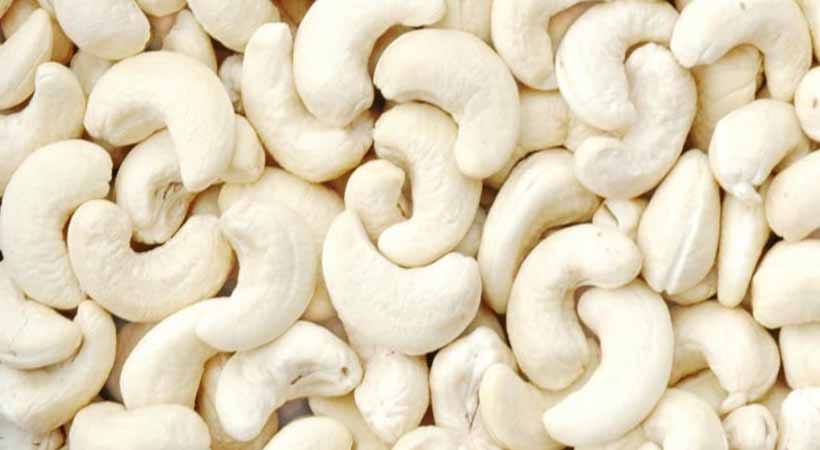 Cashew Nut Processing - THEWILL NEWS MEDIA Cashew Nut Processing