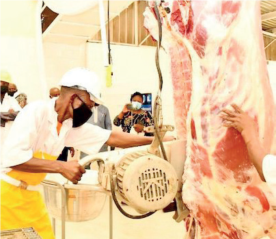 Modern Abattoir - THEWILL NEWS MEDIA Modern Abattoir