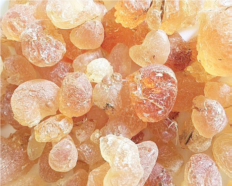 Gum Arabic Production - THEWILL NEWS MEDIA Gum Arabic Production