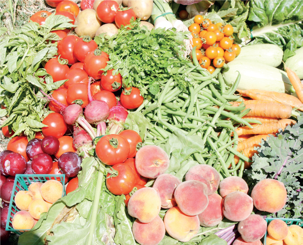 Vegetable Farming and Processing - THEWILL NEWS MEDIA Vegetable Farming and Processing