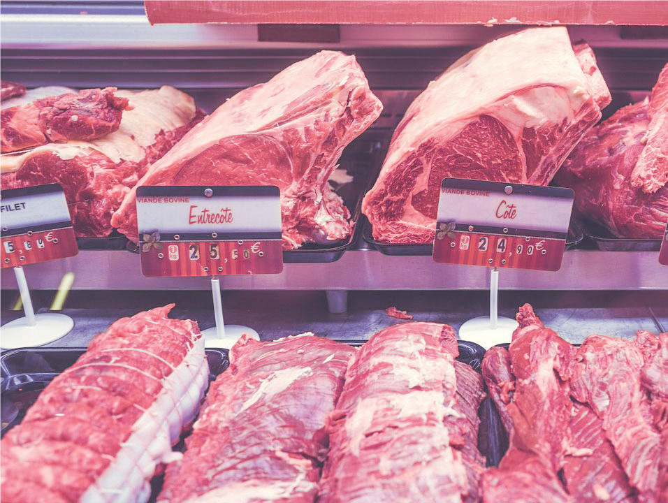 Cattle Ranch and Meat Processing - THEWILL NEWS MEDIA Cattle Ranch and Meat Processing
