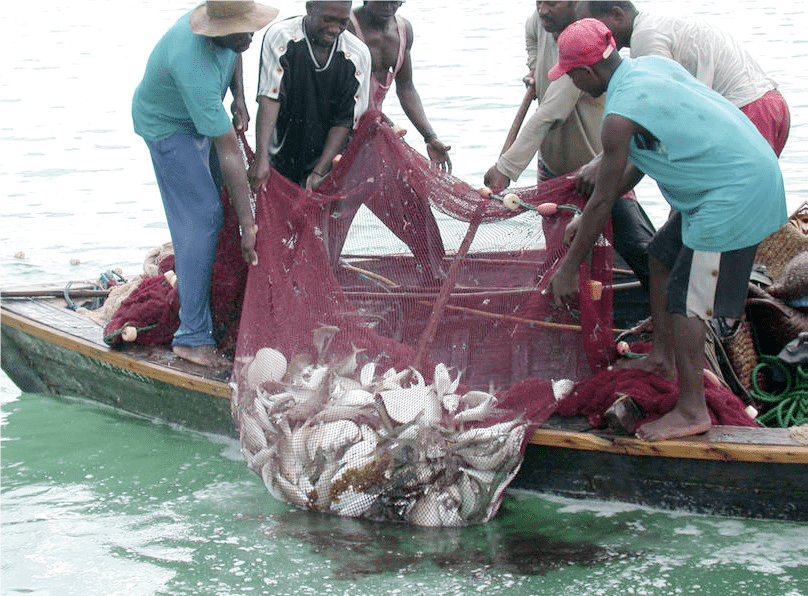 Fishing and Water Transport