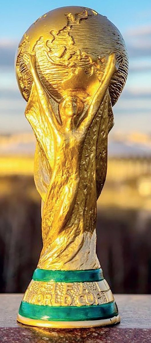 Qatar World Cup - THEWILL NEWS MEDIA