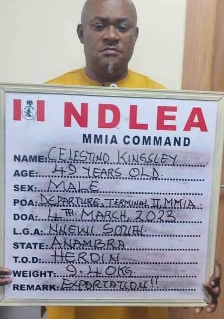 Kingsley Celestino - THEWILL NEWS MEDIA