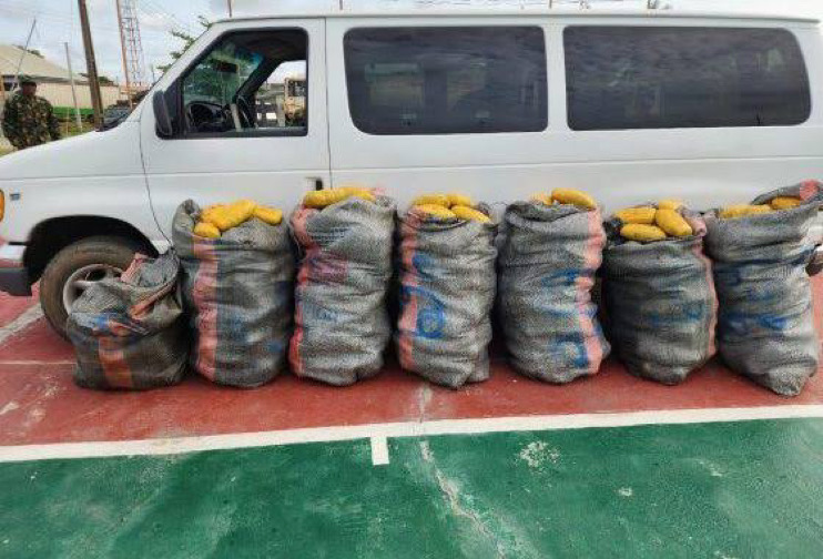 Customs Intercept 553 Parcels of Cannabis Sativa in Seme - Vimarsana News