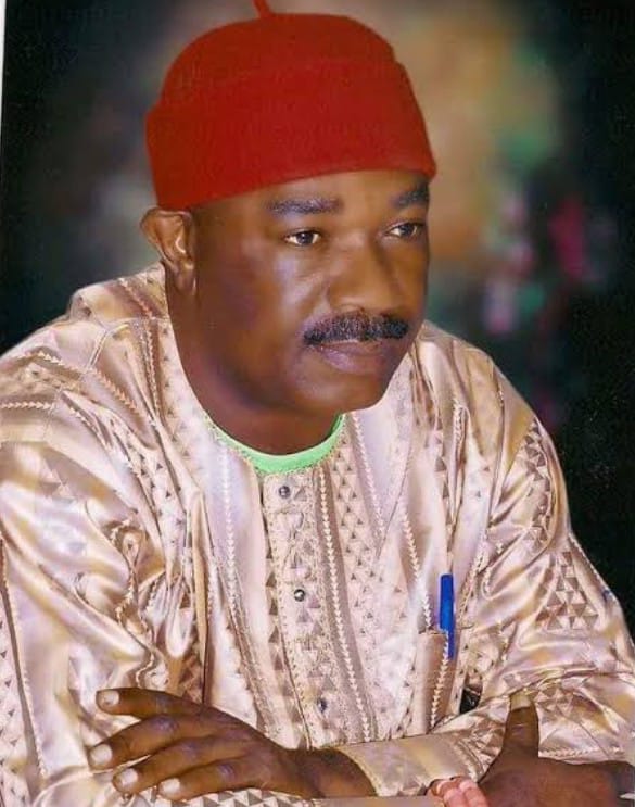 Stop Parading Yourself As BoT Chairman – NNPP Leader Warns Aniebonam - Vimarsana News