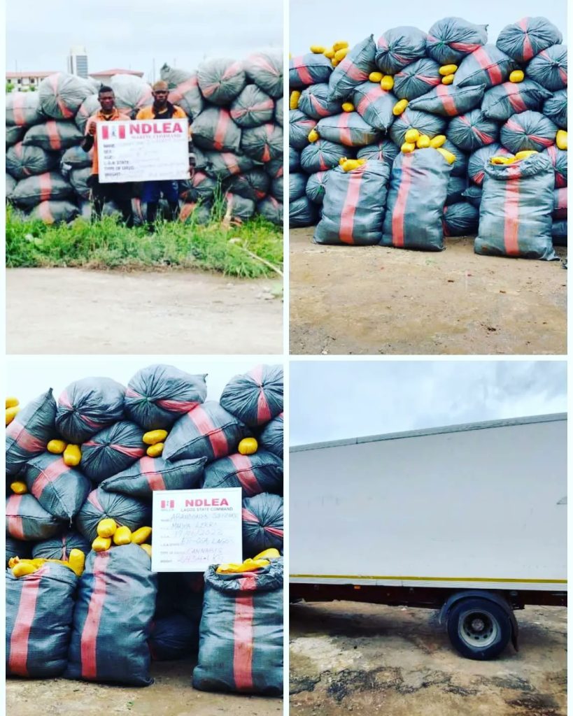 Ndlea 1 - THEWILL NEWS MEDIA