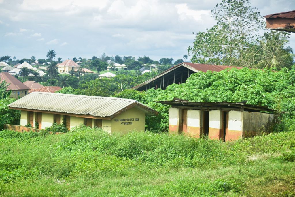 African Primary 1 - THEWILL NEWS MEDIA