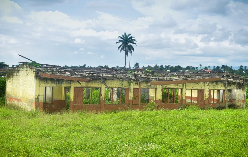 African primary 2 - THEWILL NEWS MEDIA