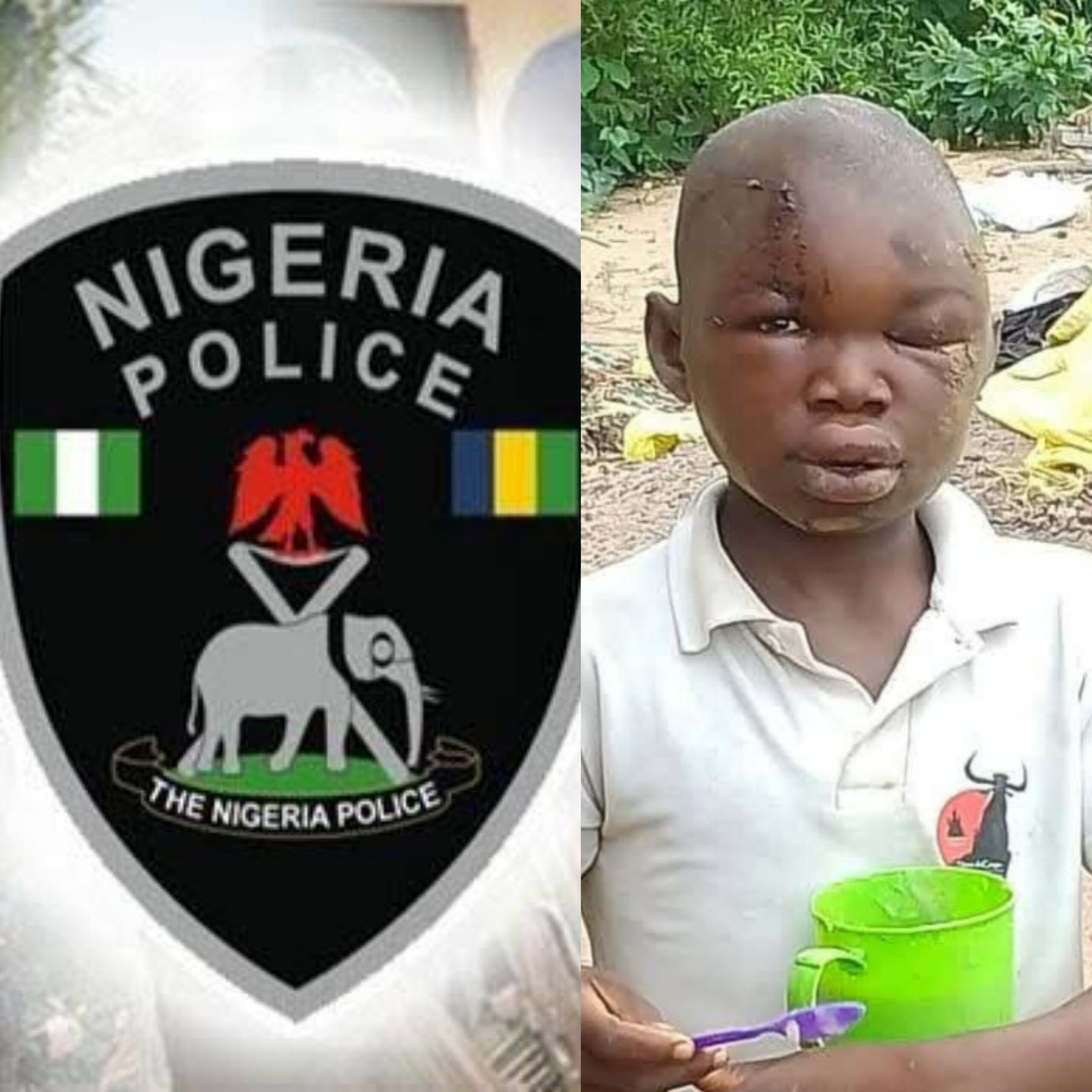 19-Year-Old Boy Beats Brother To Stupor, Buries Him Alive - Vimarsana News