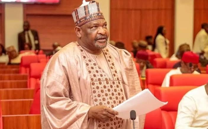 Senate Recalls Suspended Bauchi Senator Abdul Ningi - Vimarsana News