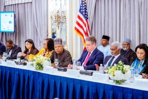 79th UNGA: US Chamber Of Commerce Announces $320m Investment To Support Mortgage Financing, SMEs, Cashew Processing Industries In Nigeria 