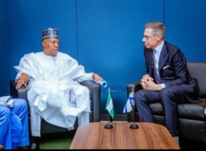 United Nations (UN) Security Council.

Vice President Kashim Shettima, Alexander Stubb