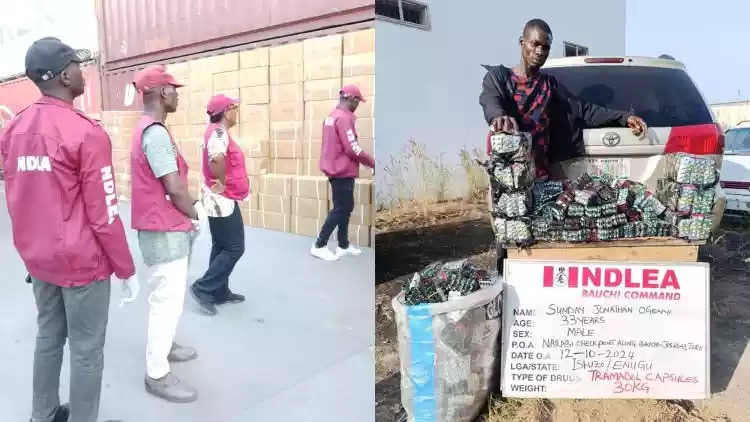 Two Businessmen, Canada-Based Nurse Nabbed For Drug Trafficking As NDLEA Intercepts Over N7bn Opioids At Apapa, Onne Seaports