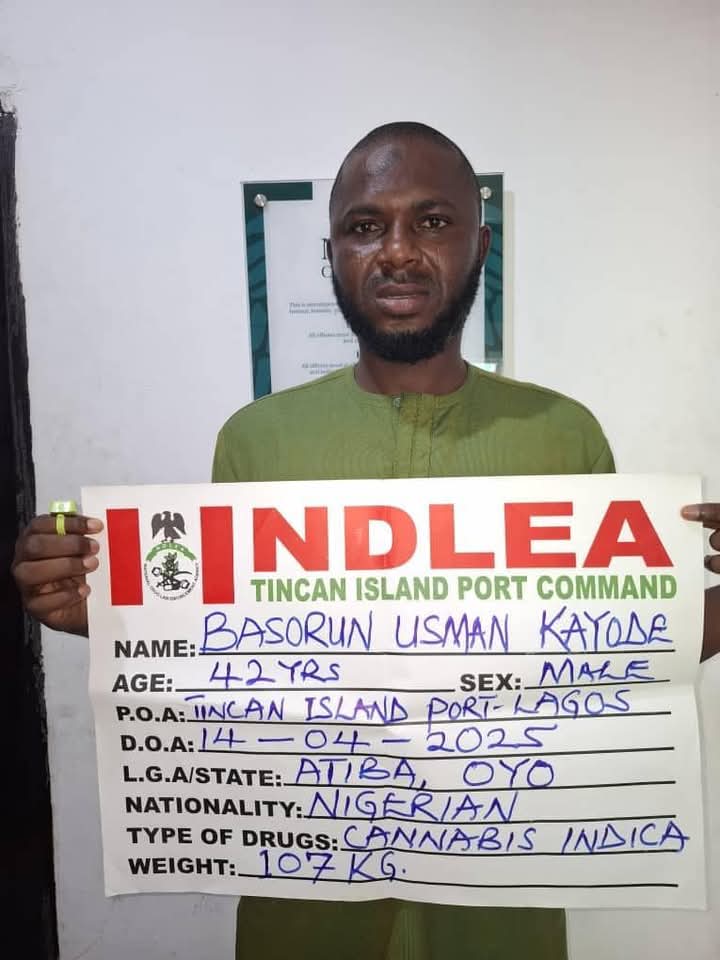 Kayode - THEWILL NEWS MEDIA