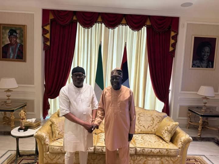 Tinubu Meets Fubara - THEWILL NEWS MEDIA Tinubu Meets Fubara