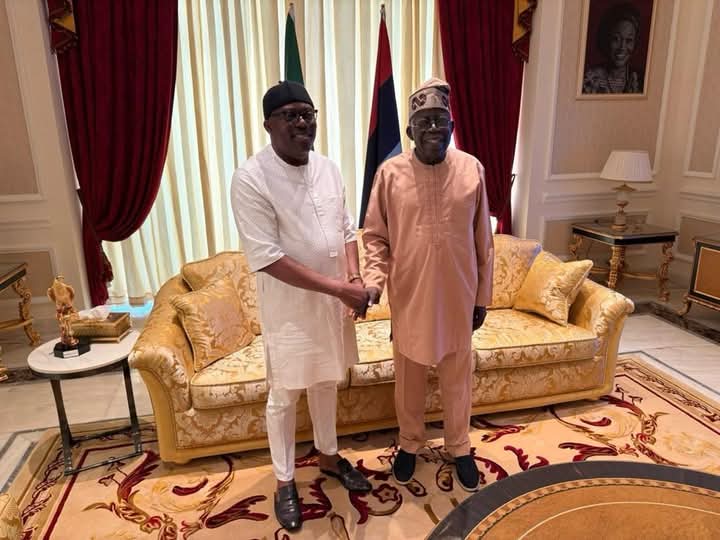 Tinubu Meets Fubara - THEWILL NEWS MEDIA Tinubu Meets Fubara
