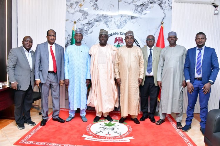 NDLEA - THEWILL NEWS MEDIA NDLEA