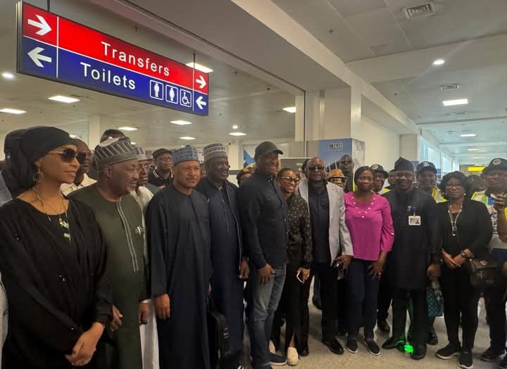 Air peace flight from Brazil to Nigeria - THEWILL NEWS MEDIA Air peace flight from Brazil to Nigeria