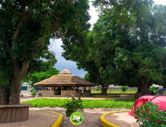 Ecotourism environment