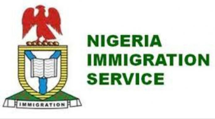 Immigration - THEWILL NEWS MEDIA Immigration