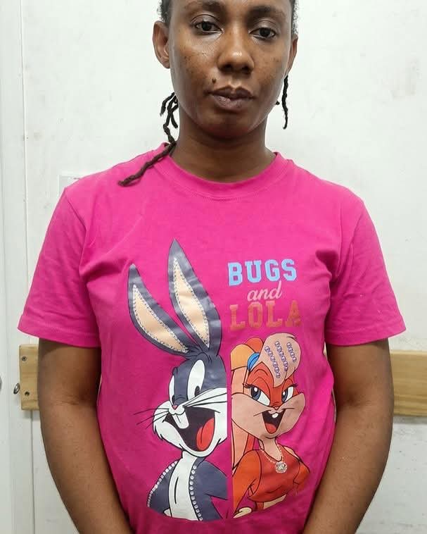 Person wearing a pink T-shirt featuring Bugs and Lola Bunny split across the torso from a half-body view.