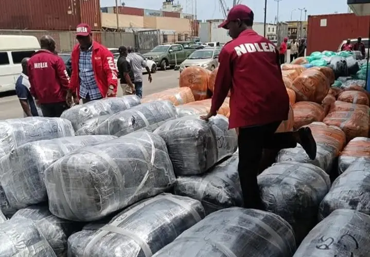 NDLEA Intercepts ₦10.4bn Canadian Loud - THEWILL NEWS MEDIA Court