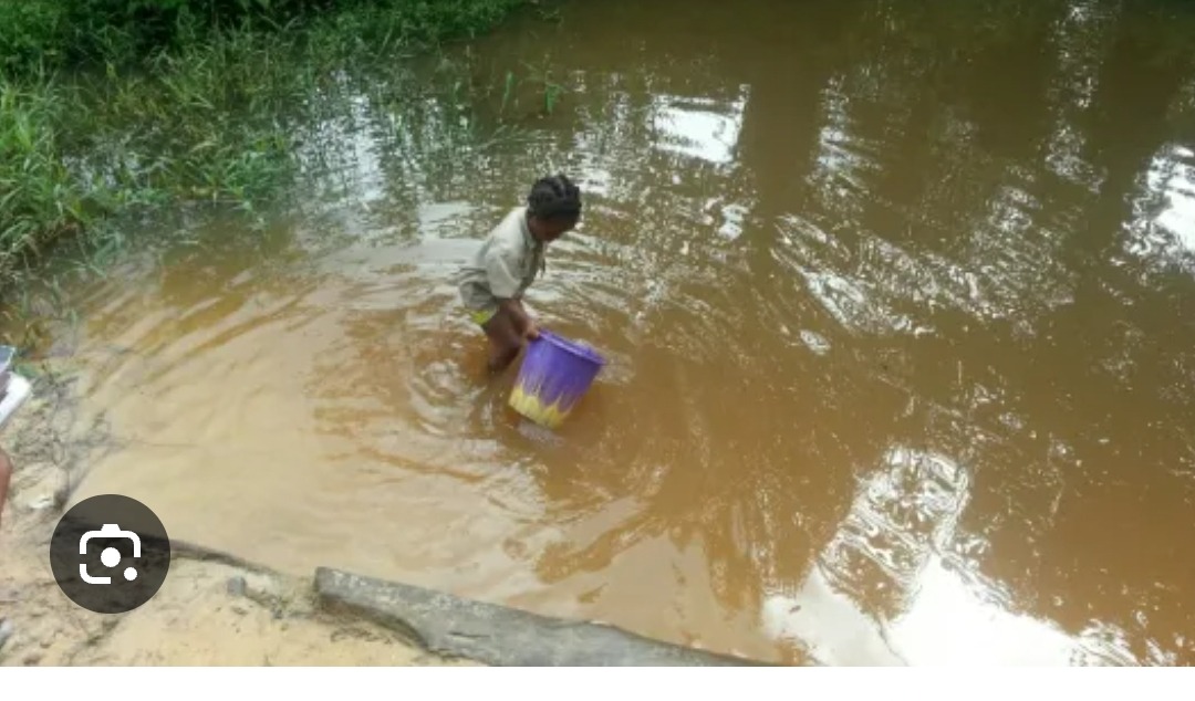 Child wades through muddy water holding a purple bucket near a grassy bank