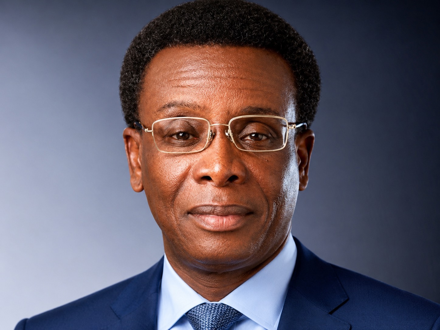 Adedayo Segun. - THEWILL NEWS MEDIA