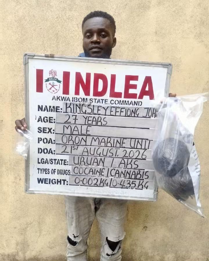 NDLEA - THEWILL NEWS MEDIA NDLEA