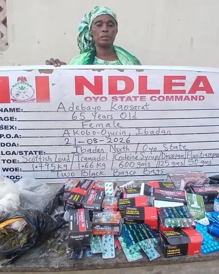 NDLEA - THEWILL NEWS MEDIA NDLEA