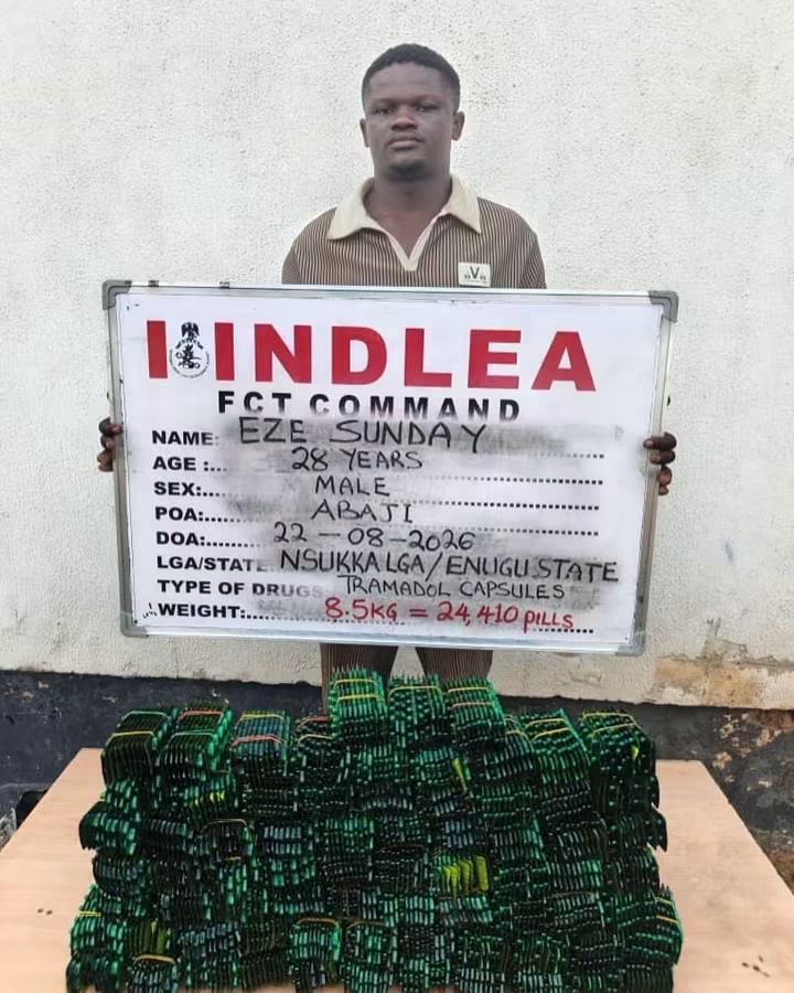 NDLEA - THEWILL NEWS MEDIA NDLEA