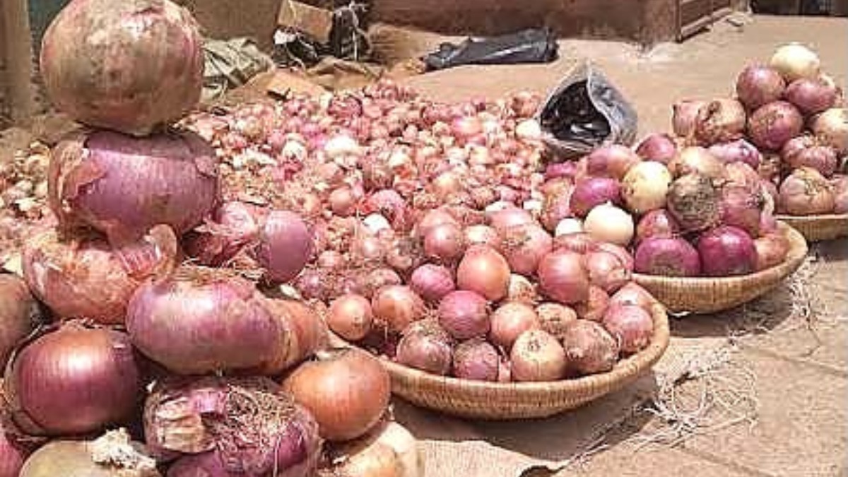 A representation of onion prices in markets - THEWILL NEWS MEDIA Baskets and piles of red onions stacked outdoors in a market setting, with a few onions scattered on the ground and a black bag in the background.