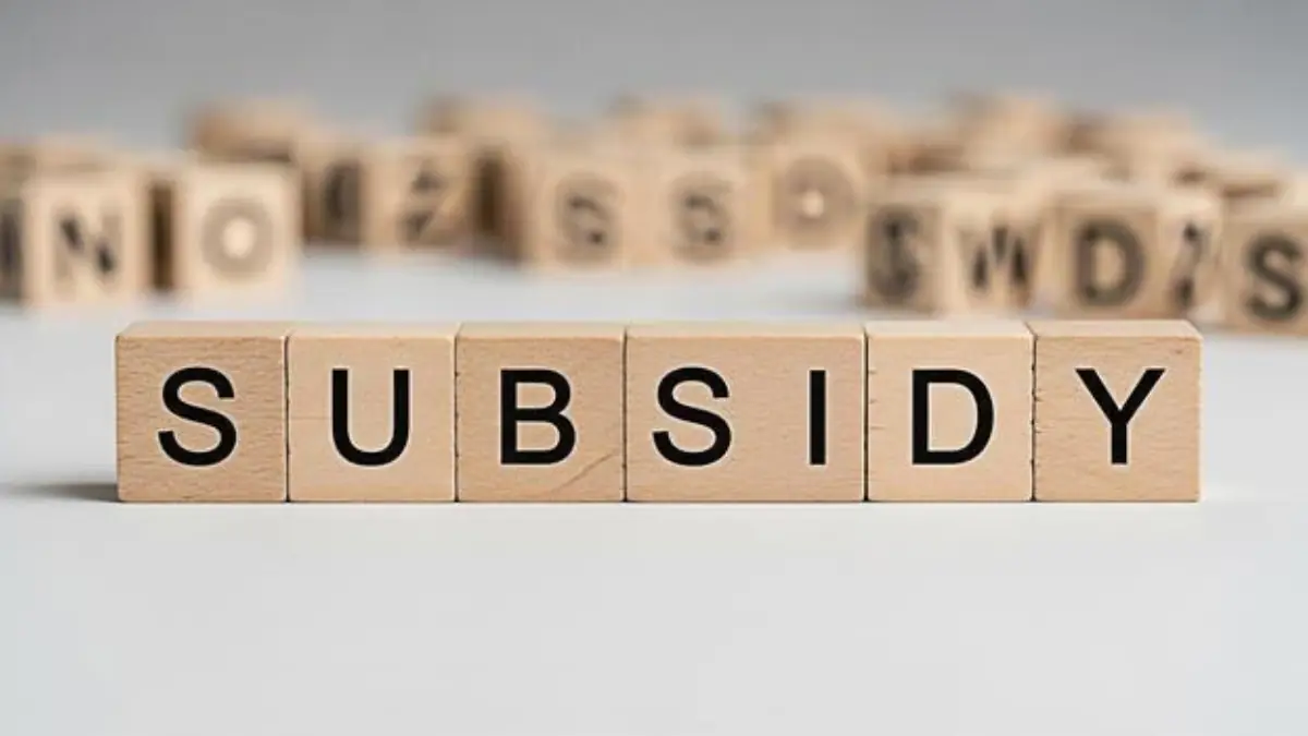A representation of subsidy - THEWILL NEWS MEDIA Close-up of wooden blocks spelling 'SUBSIDY' on a light surface with a blurred background, conveying the term subsidy.