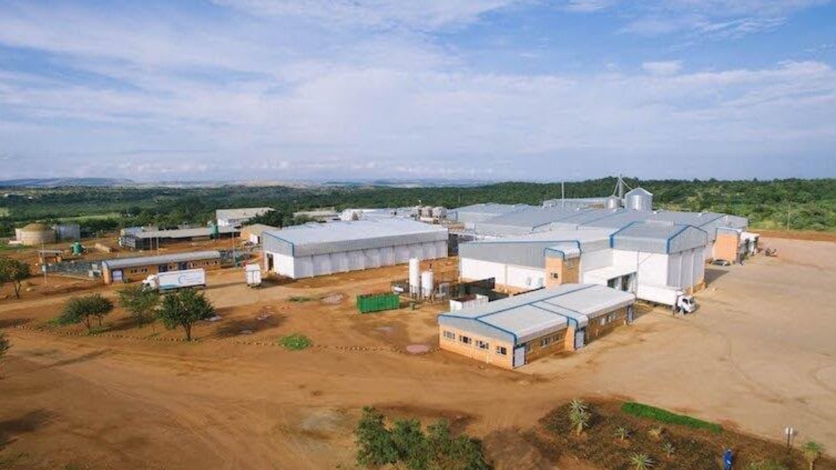 Abattoir - THEWILL NEWS MEDIA Aerial view of a factory complex with white and blue-roofed buildings on dusty brown ground and distant green hills under a blue sky.
