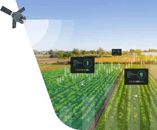 Satellite imagery mapping farmland health for predictive risk assessment. Source: EOS Data Analytics. - THEWILL NEWS MEDIA
