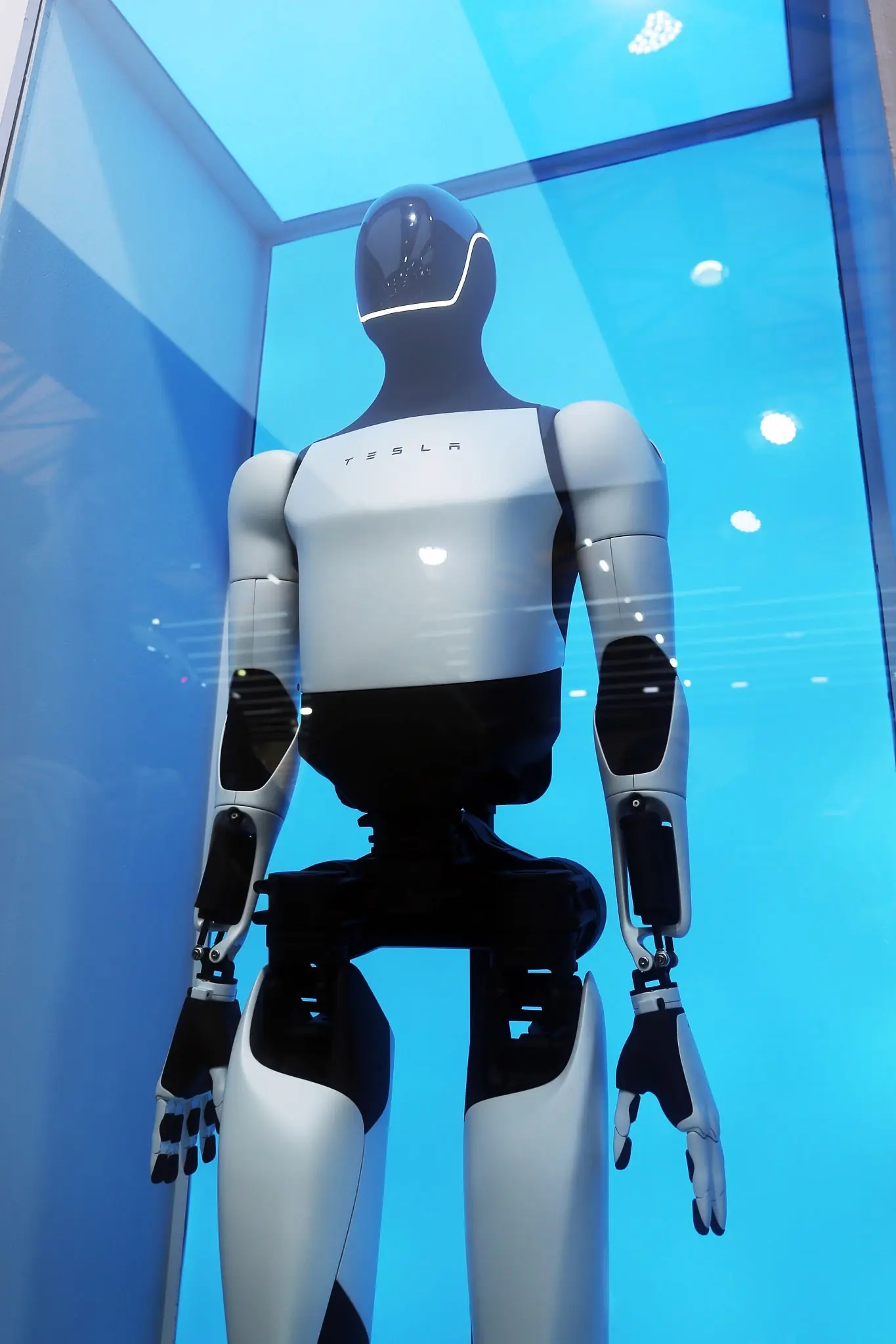 TESLA - THEWILL NEWS MEDIA Life-size humanoid robot on display inside a blue-lit glass enclosure, with TESLA on its chest.