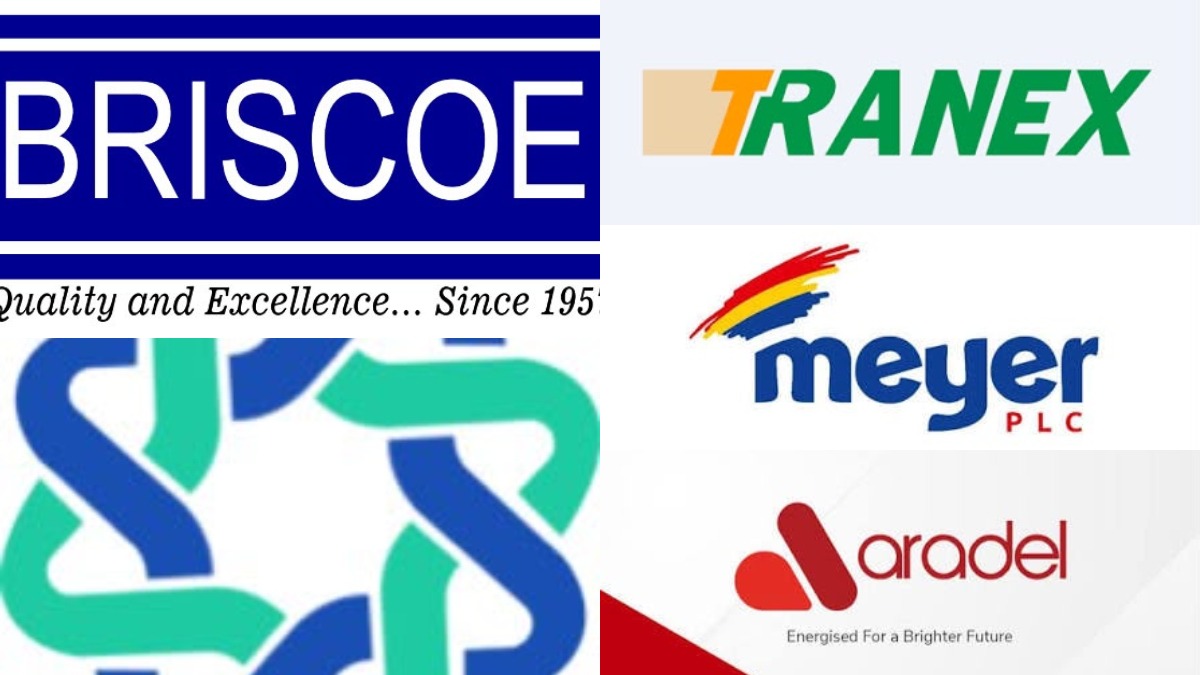 Top Gainers - THEWILL NEWS MEDIA Collage of business logos: Briscoe, Tranex, Meyer PLC, Aradel, and an abstract teal-blue interlocking design in the lower-left.