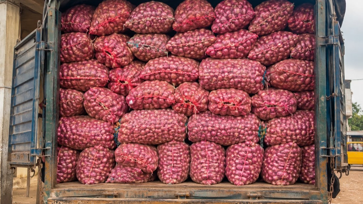 bags of Onions - THEWILL NEWS MEDIA