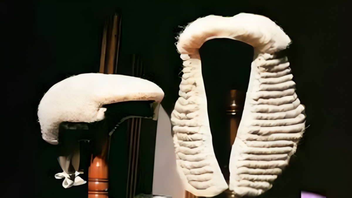 judges wig and gown - THEWILL NEWS MEDIA Abstract white ribbed sculpture with a large circular opening set against a dark background, resembling a modern art installation